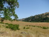 grant_lake/DSC00967.jpg