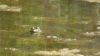 grant_lake/DSC00978.jpg