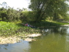 grant_lake/IMG_1378.jpg