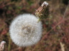 grant_lake/IMG_1391.jpg
