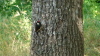 grant_ranch/DSC01140.jpg