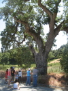 grant_ranch/IMG_1431.jpg