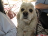 grant_ranch/IMG_1437.jpg