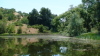 mccreery_lake/DSC00982.jpg