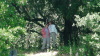 mccreery_lake/DSC00990.jpg.jpg