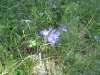 mccreery_lake/IMG_1408.jpg