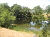 mccreery_lake/IMG_1412.jpg