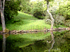 P4102946.jpg