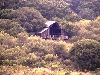 P8124338.jpg