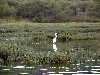 P8124342.jpg