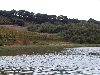 P8124344.jpg