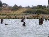 P8124347.jpg