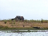 P8124357.jpg