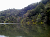 P4022898.jpg