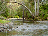 P4022904.jpg