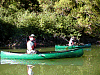 P6174226.jpg