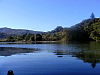 P6174242.jpg