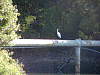 P6174252.jpg
