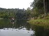 P7294263.jpg