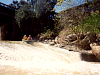 VUS_DSCA1_4-2-95.jpg