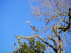 P1222750.jpg